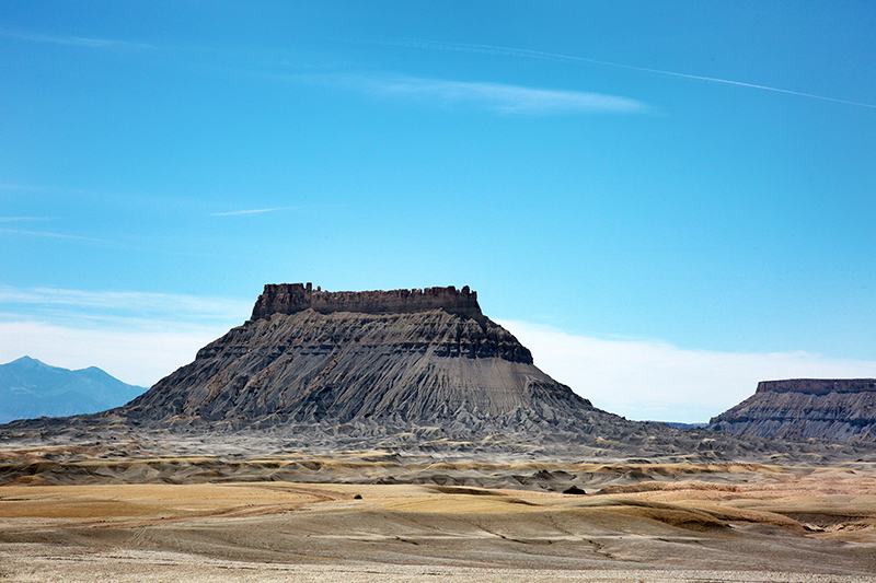 Bison : Antelope Island : Utah : Landscape Photos : Richard Moore : Photographer